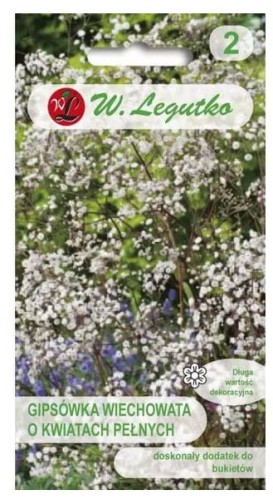 Gipsówka wiechowata o kwiatach pełnych LEGUTKO