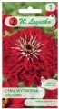 Cynia wytworna daliowa Scarlet Flame LEGUTKO