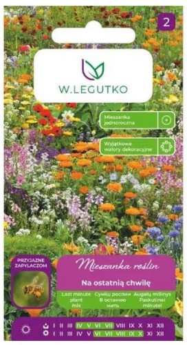Mieszanka roślin jednorocznych Na ostatnią chwilę LEGUTKO