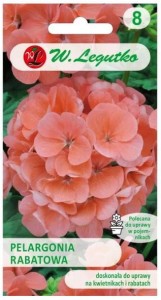 Pelargonia rabatowa Łososiowa LEGUTKO