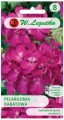 Pelargonia rabatowa FIOLETOWA 0,03g LEGUTKO