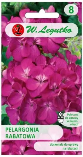 Pelargonia rabatowa FIOLETOWA 0,03g LEGUTKO