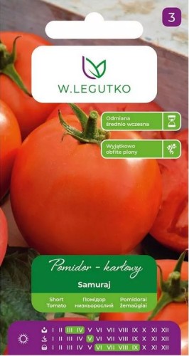 Pomidor karłowy Samuraj LEGUTKO