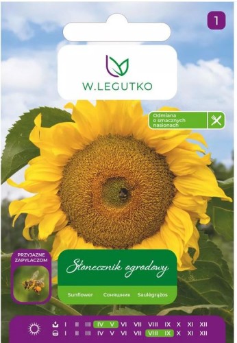 Słonecznik paskowany JADALNY i dekoracyjny 10g nasiona LEGUTKO