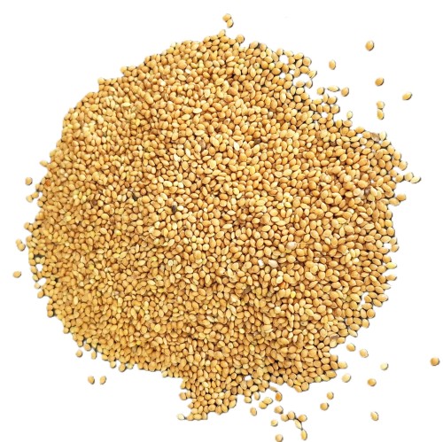 Proso żółte ziarno dla ptaków egzotycznych 1kg KAMPOL