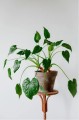 Doniczka ceramiczna VULCANO szara 15cm