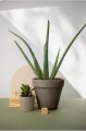 Doniczka ceramiczna VULCANO szara 15cm