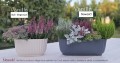 Doniczka podłużna VANILLA 40cm plastikowa BIAŁA