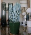 Doniczka osłonka ceramiczna 15cm klasyczna CIEMNA ZIELEŃ gładka