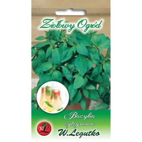 Bazylia cytrynowa - zioła LEGUTKO