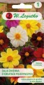 Dalia MIGNON MIX 1g LEGUTKO