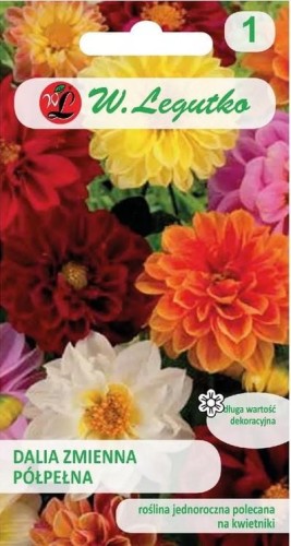 Dalia zmienna półpełna Unwins Mix LEGUTKO