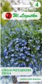 Lobelia zwisła Niebieska LEGUTKO