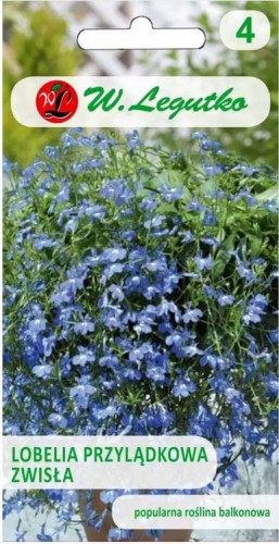 Lobelia zwisła Niebieska LEGUTKO