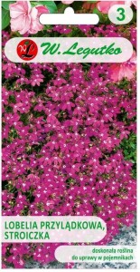 Lobelia przylądkowa, stroiczka karminowoczerwona 0,1g LEGUTKO