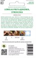 Lobelia przylądkowa, stroiczka karminowoczerwona 0,1g LEGUTKO