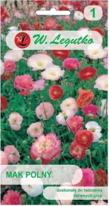 Mak polny Mix kolorów 40-50cm LEGUTKO