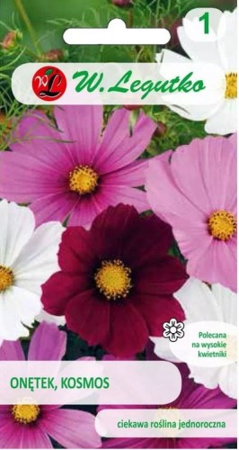 Onętek, kosmos Mix kolorów LEGUTKO