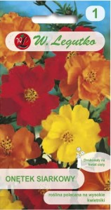 Onętek siarkowy Mix kolorów LEGUTKO