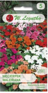 Niecierpek Waleriana Mix kolorów  LEGUTKO