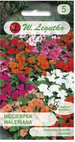Niecierpek Waleriana Mix kolorów  LEGUTKO