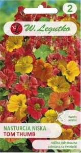 Nasturcja niska Mix odcieni 30-40cm LEGUTKO