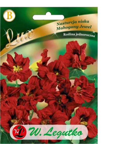 Nasturcja niska MAHOGANY JEWEL LEGUTKO