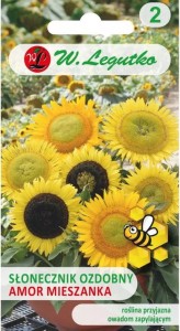 Słonecznik ozdobny średniowysoki Amor LEGUTKO
