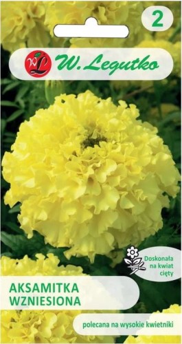 Aksamitka wzniesiona Cytrynowożółta LEGUTKO