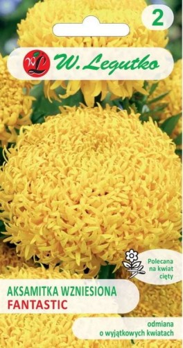 Aksamitka wzniesionwa Fantastic ŻÓŁTA 0,3g LEGUTKO