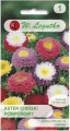 Aster chiński pomponowy Mix 1,25g LEGUTKO