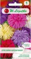 Aster Chiński chryzantemowy Mix kolorów  LEGUTKO
