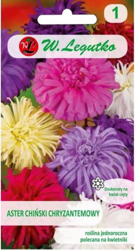 Aster Chiński chryzantemowy Mix kolorów  LEGUTKO