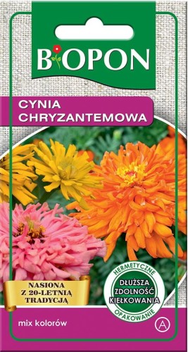 Cynia Chryzantemowa Mix kolorów BIOPON