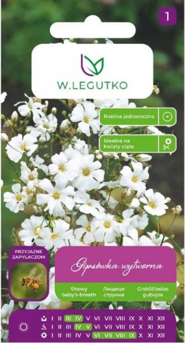 Gipsówka wytworna Biała LEGUTKO