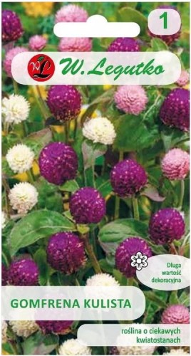Gomfrena kulista Mix kolorów LEGUTKO