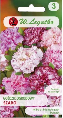 Goździk ogrodowy pstry SZABO pachnący LEGUTKO