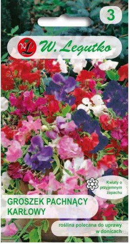 Groszek pachnący karłowy Mix kolorów  LEGUTKO