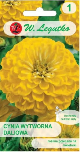 Cynia wytworna daliowa Canary Bird Żółta LEGUTKO