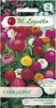 Cynia wytworna Liliput Mix LEGUTKO