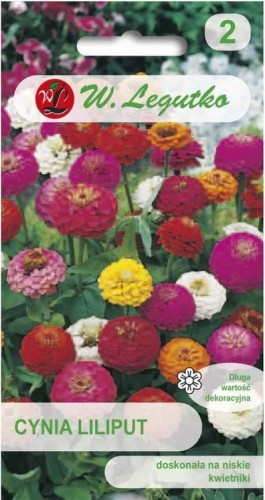 Cynia wytworna Liliput Mix LEGUTKO