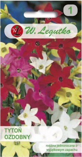 Tytoń ozdobny Mix kolorów LEGUTKO