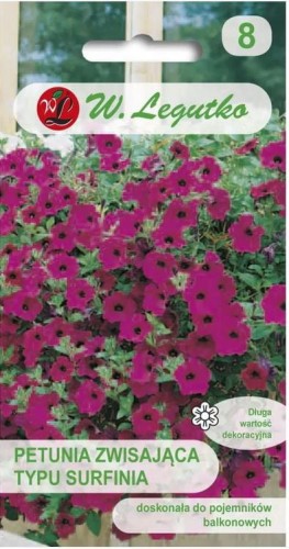 Petunia zwisająca Rubina F2 Purpurowa LEGUTKO