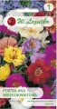Portulaka wielokwiatowa Mix kolorów LEGUTKO