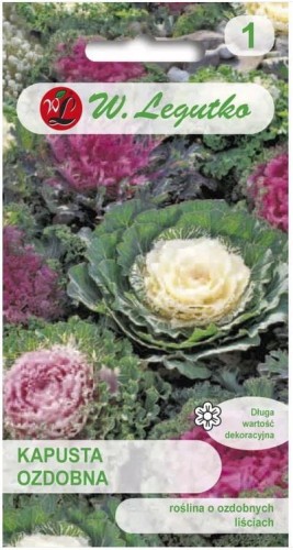 Kapusta ozdobna Mix kolorów LEGUTKO