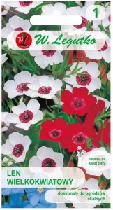 Len wielkokwiatowy Mix kolorów LEGUTKO