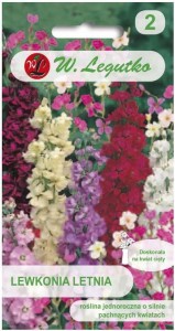 Lewkonia Letnia Mix kolorów 40-60cm LEGUTKO