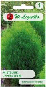 Mietelnik, Cyprys letni Zielony LEGUTKO