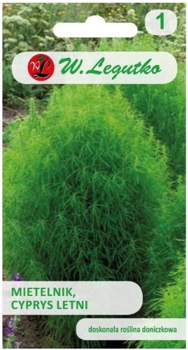 Mietelnik, Cyprys letni Zielony LEGUTKO