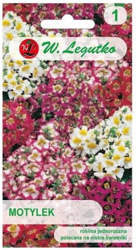 Motylek MIX LEGUTKO